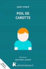 Poil de carotte